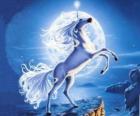 Unicornio - Caballo joven con un cuerno en espiral
