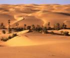 Palmeras en las dunas del desierto
