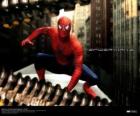 Spiderman, el hombre araña, en cuclillas