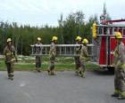 Bomberos cargando una escalera de mano