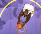 Shaquille O neal realizando un mate
