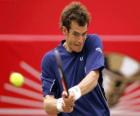 Andy Murray preparado para un golpe