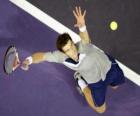 Andy Murray preparandose para golpear un saque