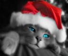 Gato elegante para las fiestas navideñas con gorro