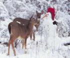 Dos ciervos junto a un muñeco de nieve