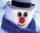 Cara muñeco de nieve