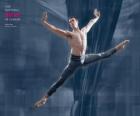 Ballet - Bailarin en acción