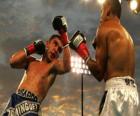 Boxeo