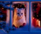 Gato mirando por la ventana en Navidad