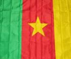 Bandera de Camerún