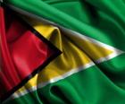 Bandera de Guyana