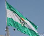 La bandera del Real Betis es verde y blanca