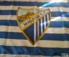 Bandera del Málaga C.F, franjas horizontales azules y blancas