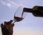 Sirviendo el vino