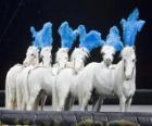 Caballos actuando en un circo