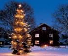 Casa con un gran árbol de Navidad adornado en el jardín