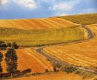 Paisaje de campos ondulados