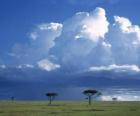 Sabana Africana