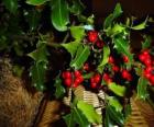 Acebo con los frutos rojos