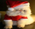 Gatito disfrazado de Papá Noel