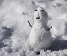 Muñeco de nieve pequeño