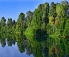 Un río con el reflejo de los árboles en sus aguas
