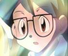 Max aparece como un compañero de Ash Ketchum, es además el hermano menor de May y se integró al grupo de Ash, May y el criador pokémon Brock.
