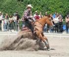 Reining - Monta western - Monta vaquera