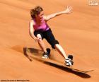 El Sandboard es un deporte que consiste en el descenso de dunas