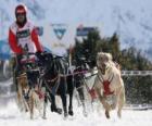 Trineos con perros Mushing