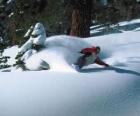 Snowboarder descendiendo en nieve virgen