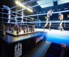 El chess boxing, es un deporte híbrido que combina el ajedrez y el boxeo.