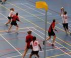 El korfbal, también llamado balonkorf, es un deporte de equipo jugado entre dos equipos que buscan introducir una pelota dentro de una canasta.