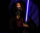 Plo Koon, del planeta Dorin 