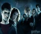 Harry Potter junto a sus amigos