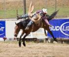 Cowboy montando un caballo encabritado en un rodeo 