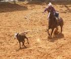 Cowboy o vaquero cabalgando y atrapando una res con el lazo