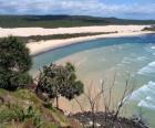 Isla Fraser, esta isla arenosa tiene 122 kilómetros de longitud y es la más grande del mundo en su género. Australia.