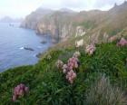 Islas subantárticas, comprende los archipiélagos de Snares, Bounty, Antípodas, Auckland y Campbell, situados en el Océano Austral, al sudeste de Nueva Zelanda.