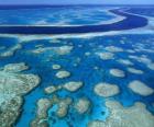 La Gran Barrera, el conjunto de arrecifes coralíferos más extenso del mundo. Australia.