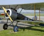Avioneta vinatge en el aeródromo