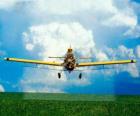 Avioneta fumigando un campo