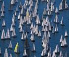 Regata barcos de vela