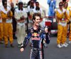 Mark Webber celebra su victoria en Circuit de Catalunya, Gran Premio de España (2010)