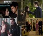 La Saga Crepúsculo: Luna Nueva, o Crepúsculo la saga: Luna nueva