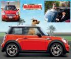 Marmaduke, a bordo del coche de su dueño, Phil.