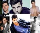 Taylor Lautner ha participado en películas como Las aventuras de Sharkboy y Lavagirl en 3-D, Cheaper by the Dozen 2, Crepúsculo, Luna nueva y Valentine's Day.