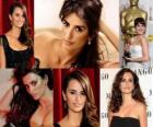 Penélope Cruz es la primera actriz española en conseguir un Óscar gracias a la película Vicky Cristina Barcelona dirigida por Woody Allen.