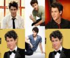 Nick Jonas es un cantante y actor estadounidense