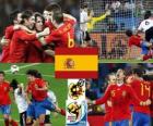 España finalista Sudáfrica 2010